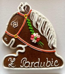 Kůň hlava číslo 2